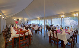 Abrar Palace & Jungle Camps