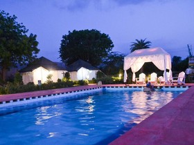 The Tiger Queen Ranthambore