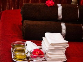 The Tiger Queen Ranthambore