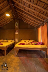 The Innovation House