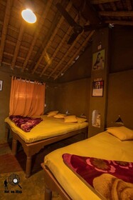 The Innovation House