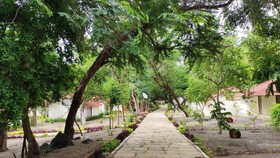 Aranya Vilas