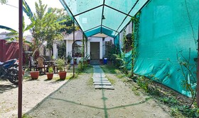 Fabexpress Tree Of Heaven