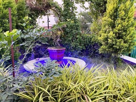 Gobravo Resort Udaipur