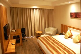 Le ROI Udaipur Hotel
