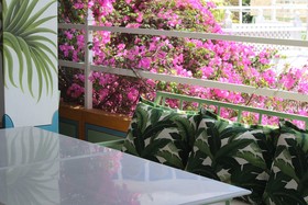 The Red Pier By Downtown Udaipur