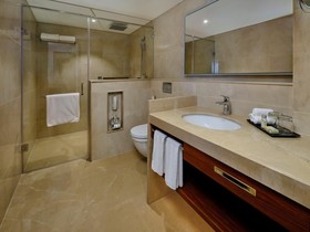 Pride Hotel Udaipur