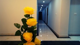 Shrigo Hotel Gangtok
