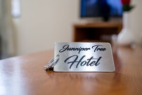 Sparrow Juniper Tree