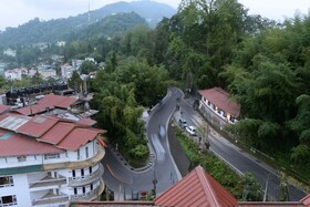 Yashshree Sikkim Blossom