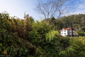 Zostel Rinchenpong (Pelling)