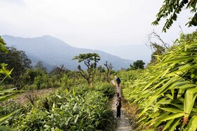 Zostel Rinchenpong (Pelling)