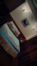 Rufina Norling Zimkhang