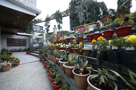 Hotel Sikkim Tourist Center