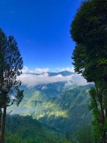 Bodhi Villa
