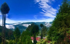 Bodhi Villa