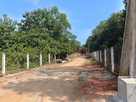 Auro Sunrise Resort