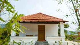 Aara Jungle Resort