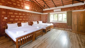 Aara Jungle Resort
