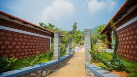 Aara Jungle Resort