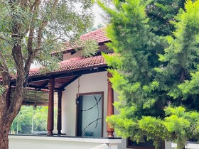 Aara Jungle Resort