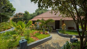 Aara Jungle Resort