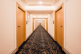 Hotel Turmeric