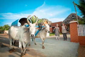 Chettinadu Court Village Resort