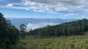 Cloud Walk