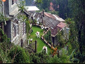 Club Mahindra Kodiakanal Resort