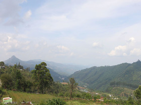 Cornerstone Guesthouse