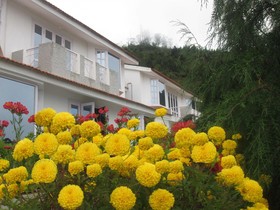 Country Club Valley Vista Kodaikanal