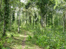 Elephant Valley