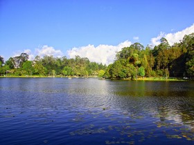 Golden Parks Inn