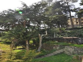 Hill Heaven Homestay