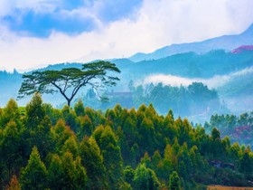 Kodai Resort Hotel