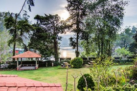 Misty Cove