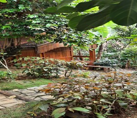 Remas Resorts Adventure Park