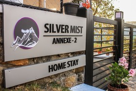 Silver Mist