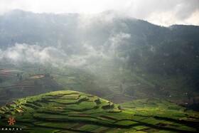 Zostel Poombarai (Kodaikanal)