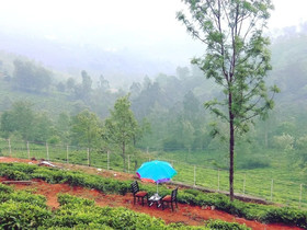 V Resorts Kotagiri