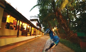 Indeco Hotels Swamimalai