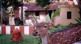 Indeco Hotels Swamimalai