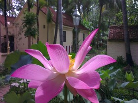 Indeco Hotels Swamimalai