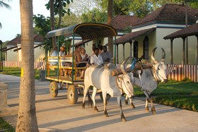 Paradise Resort