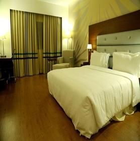 Abu Sarovar Portico