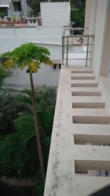 Fast Track Nungambakkam