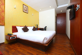 Flagship 479 By OYO Rooms