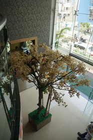 Lotels Hotel