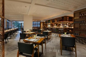 Novotel Chennai Chamiers Road